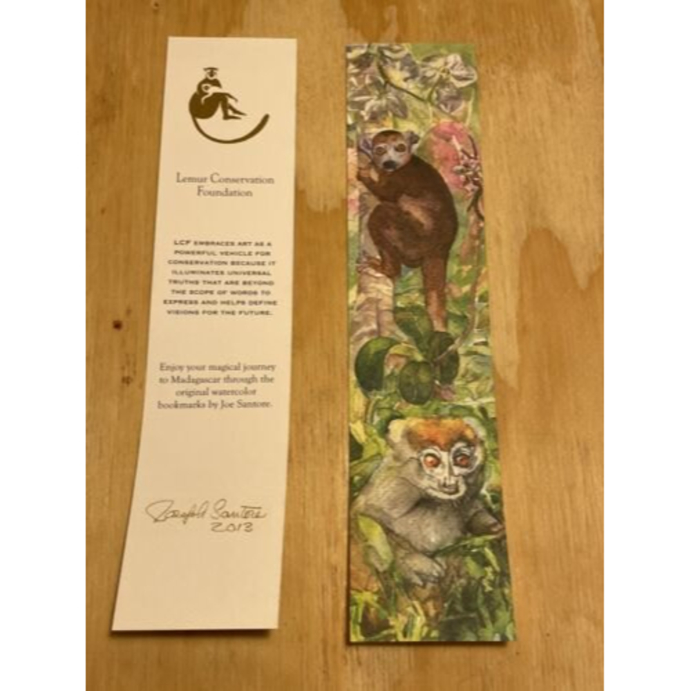 Lemur Conservation Foundation Bookmark Joe Santore Lemur Bookmarks 2013 (4 pack) - Picture 8 of 12